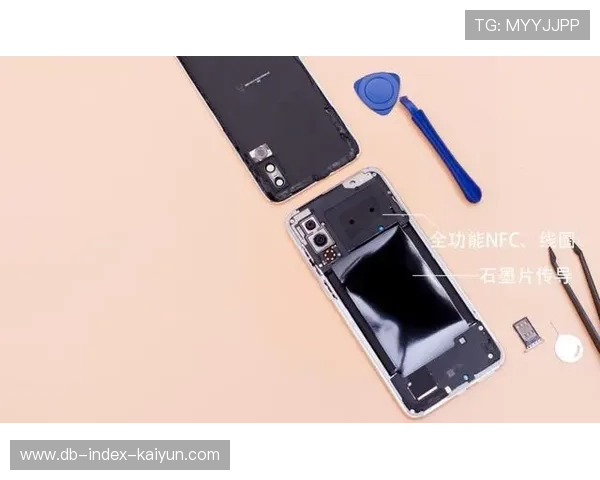 深度拆解：为什么职业选手能在混战中精准点到对方后排？，为什么职业选手不能打架