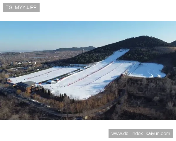 冰雪运动联盟推进智慧场馆建设与运行管理,冰雪运动协会成立 冰雪运动联盟推进智慧场馆建设与运行管理,冰雪运动协会成立